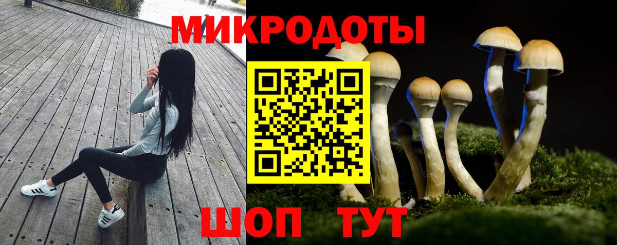 Галлюциногенные грибы мухоморы Новочеркасск