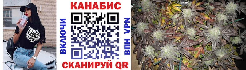 где купить наркотик  Новочеркасск  Конопля план 